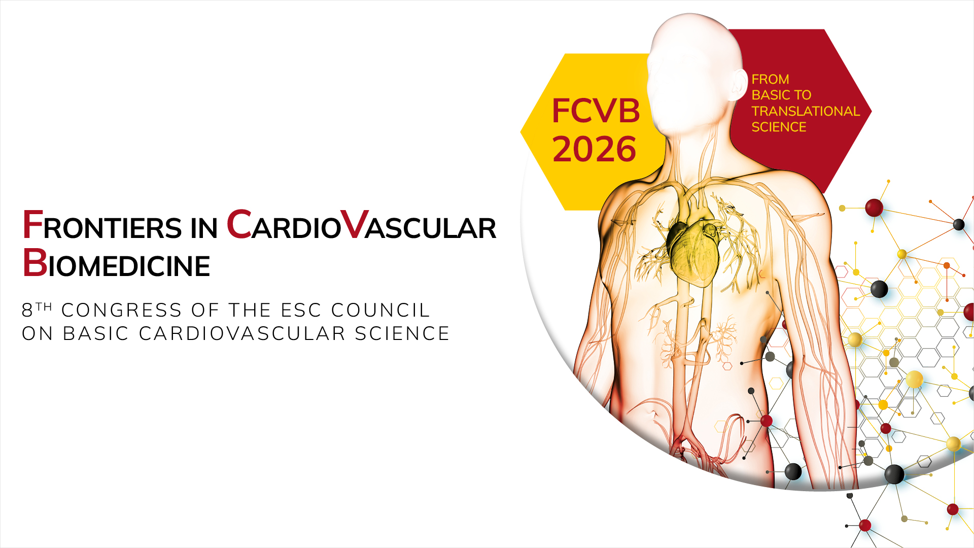 Frontiers in CardioVascular Biomedicine